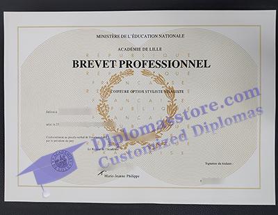 brevet professionnel, Academie de lille diploma,
