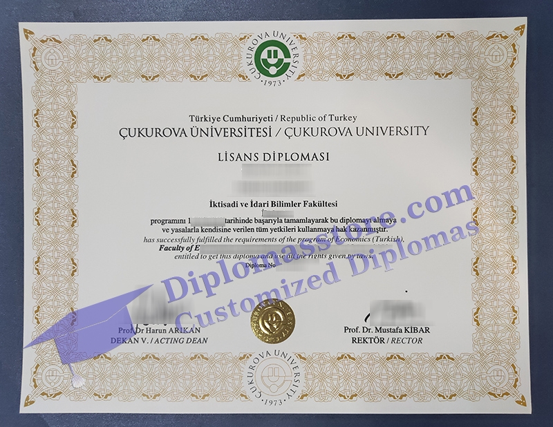 Çukurova University degree