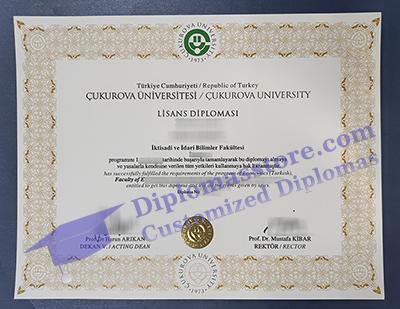 Çukurova University degree certificate