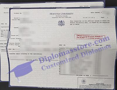 Hofstra University transcript