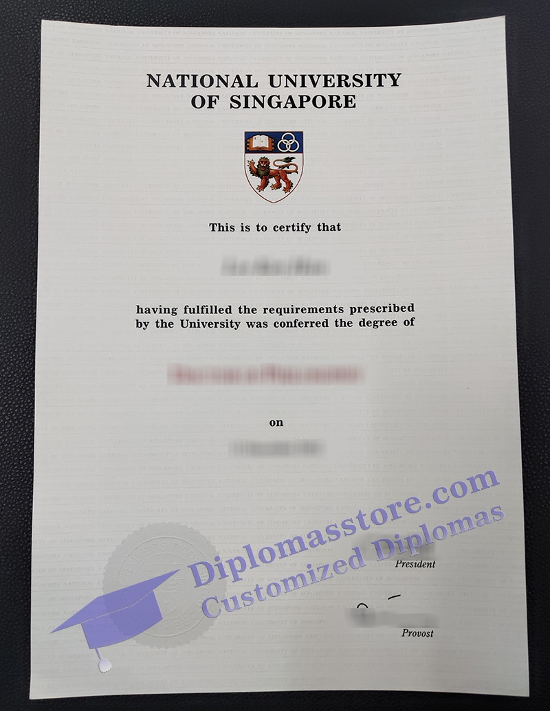 National University of Singapore degree, NUS diploma,