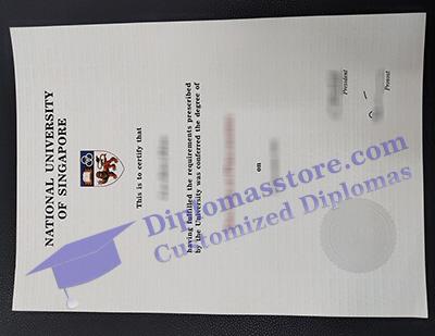 National University of Singapore degree, NUS diploma,