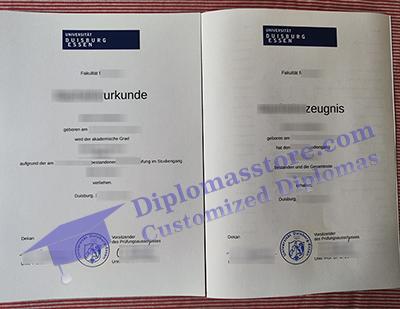 Universität Duisburg-Essen urkunde certificate