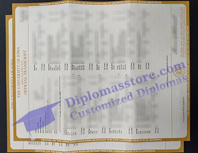 University of Iowa transcript