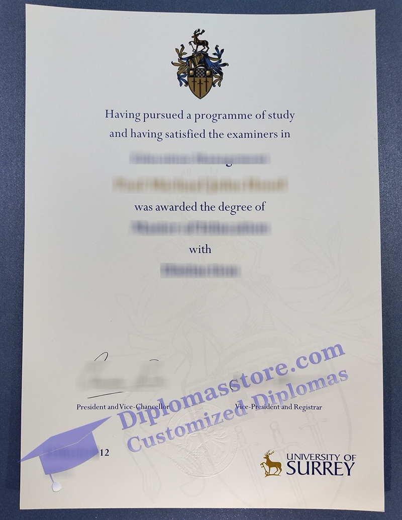 University of Surrey degree