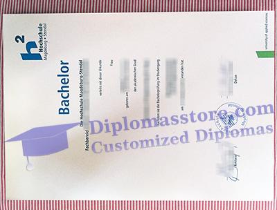 Hochschule Magdeburg Stendal urkunde certificate