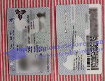 buy Ontario driver's licence