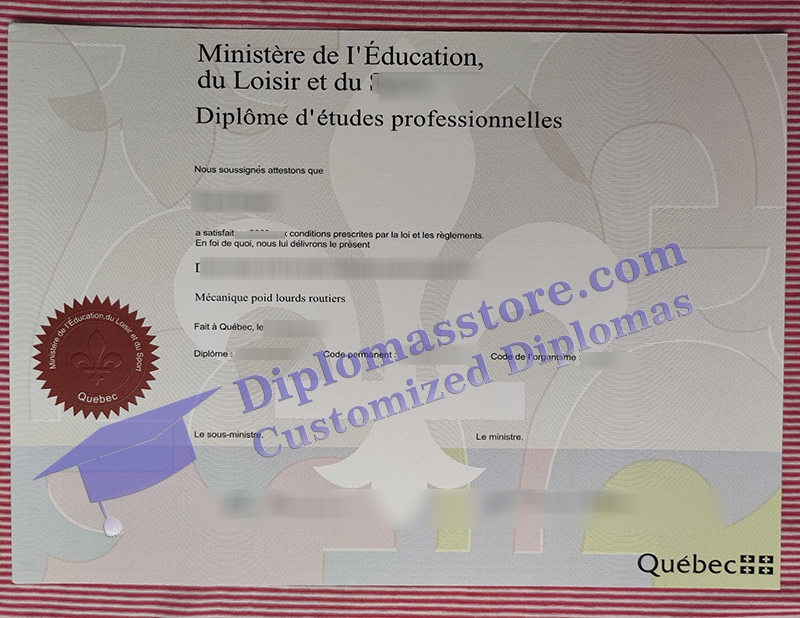 Ministère de l'éducation diplôme, Diplôme d'études professionnelles,
