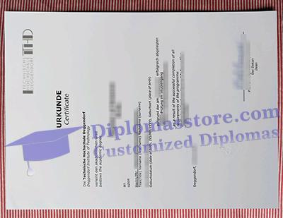 TH Deggendorf urkunde certificate