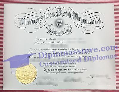 fake UNB diploma