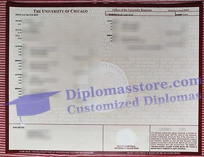 University of Chicago transcript