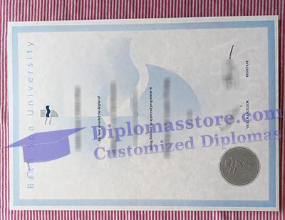 Bath Spa University diploma