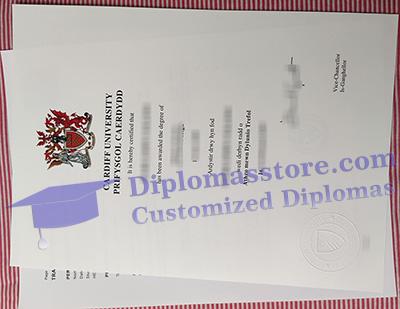 Cardiff University diploma