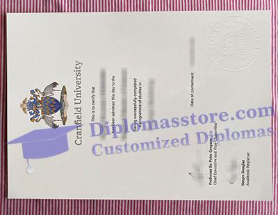 Cranfield University diploma