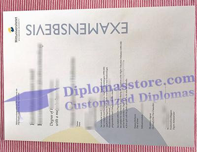 Mittuniversitetet diploma
