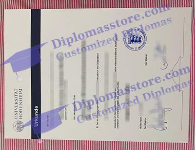 Universität Hohenheim diploma