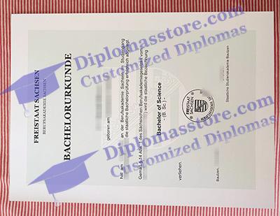 Berufsakademie Sachsen diploma