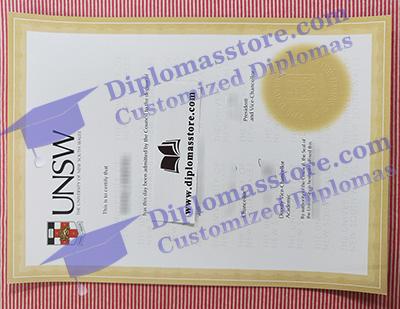 UNSW degree
