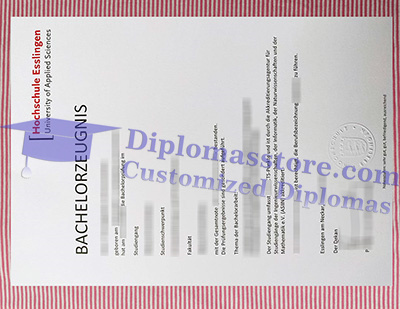 Hochschule Esslingen certificate