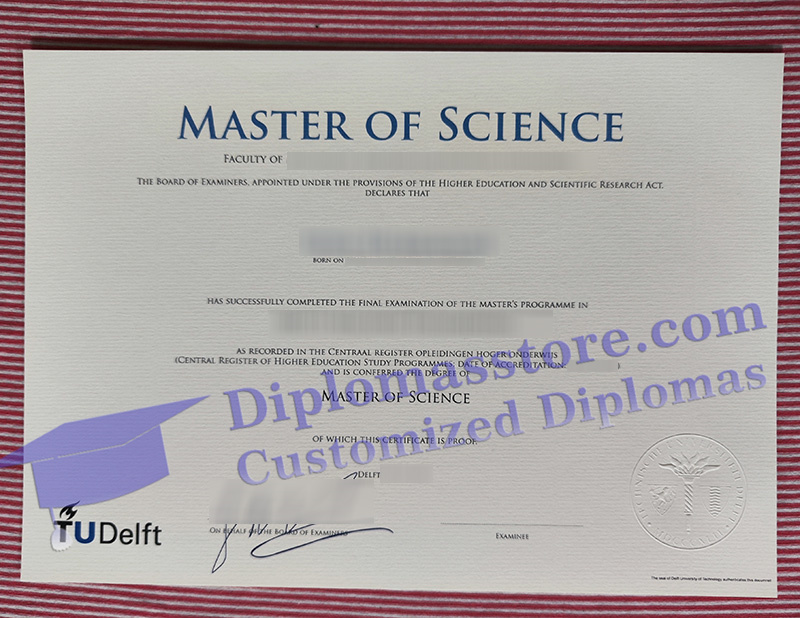 Technische Universiteit Delft degree, TU Delft diploma,