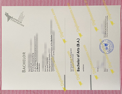 Hochschule Wismar diploma