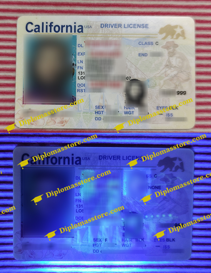 California ID, California Driver license,
