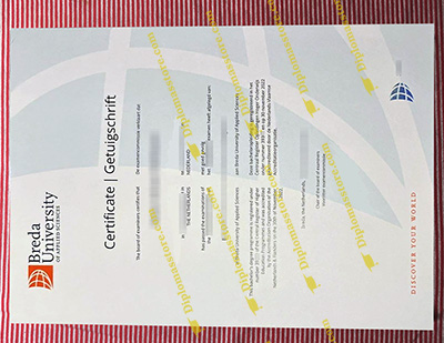 Breda University certificate