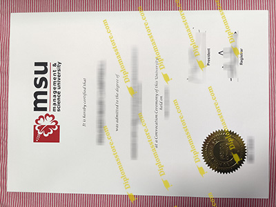 Management & Science University certificate