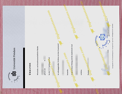 Universität Potsdam diploma