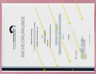 hochschule döpfer diploma