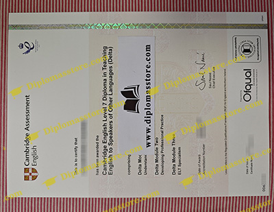 Cambridge DELTA certificate