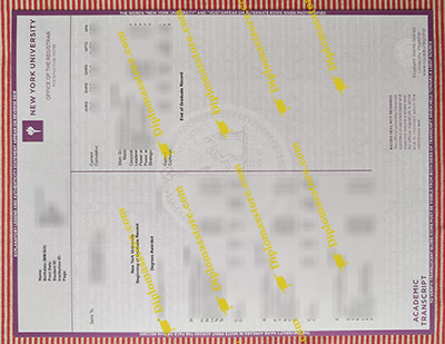 NYU transcript