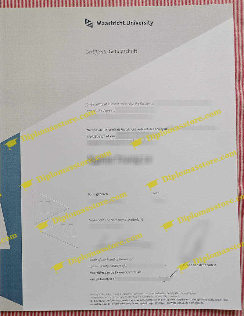 Maastricht University degree