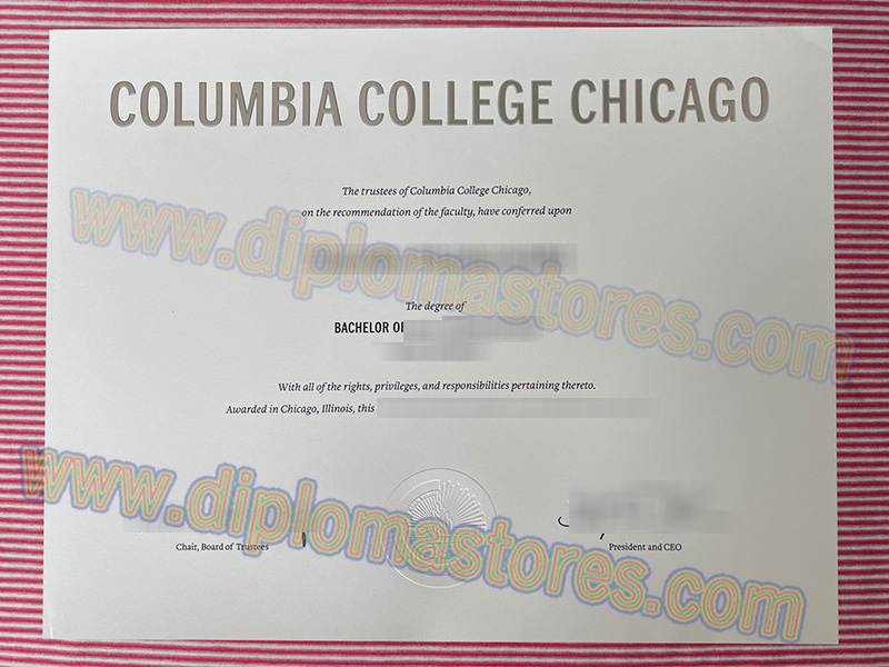 Columbia College Chicago degree